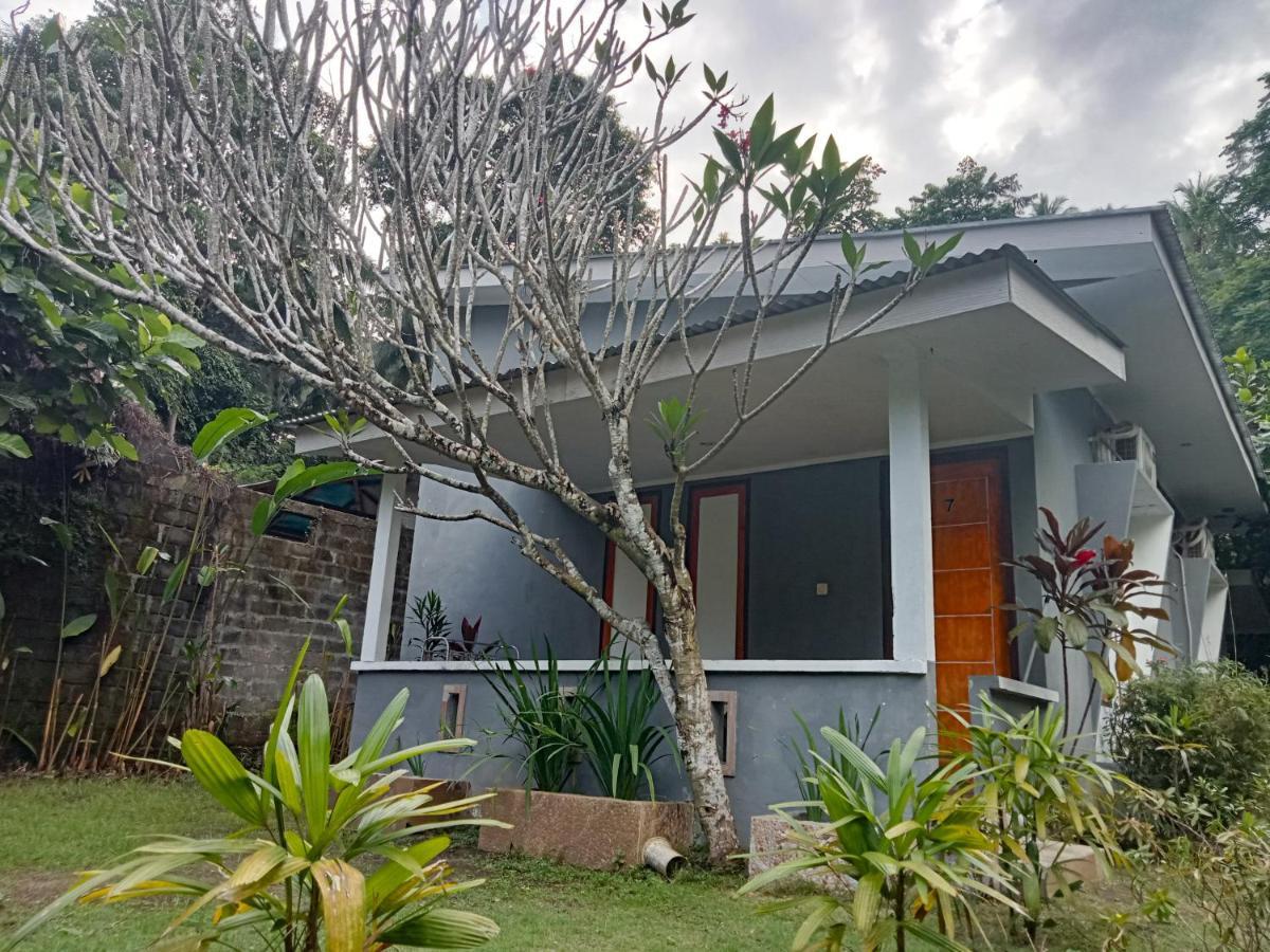 Tangkoko Ranger Homestay Bitung Kültér fotó