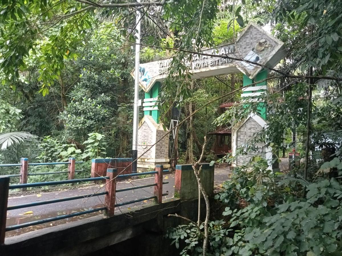 Tangkoko Ranger Homestay Bitung Kültér fotó