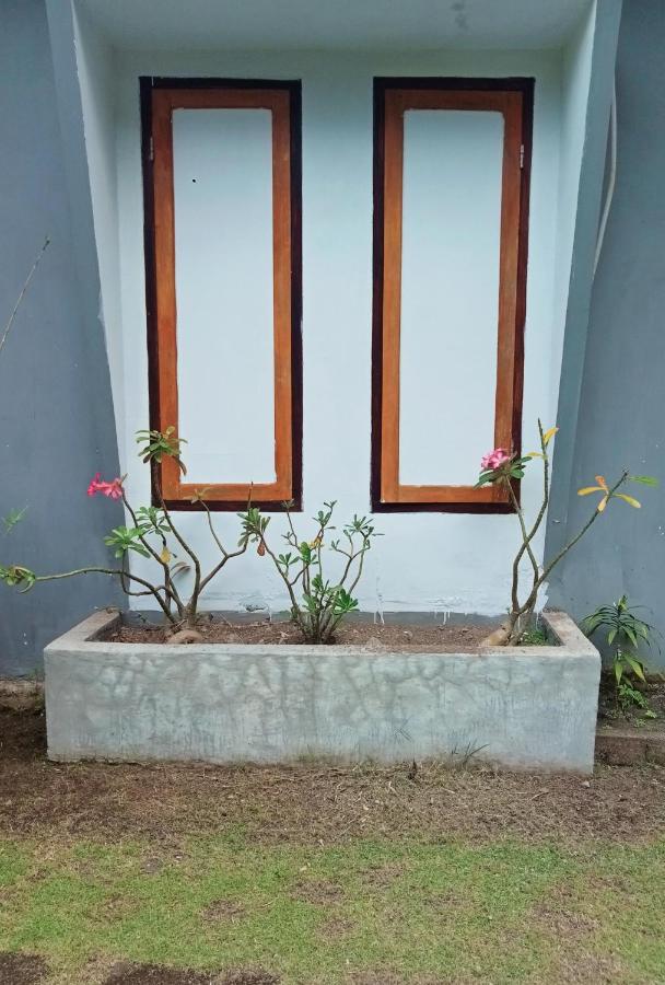 Tangkoko Ranger Homestay Bitung Kültér fotó