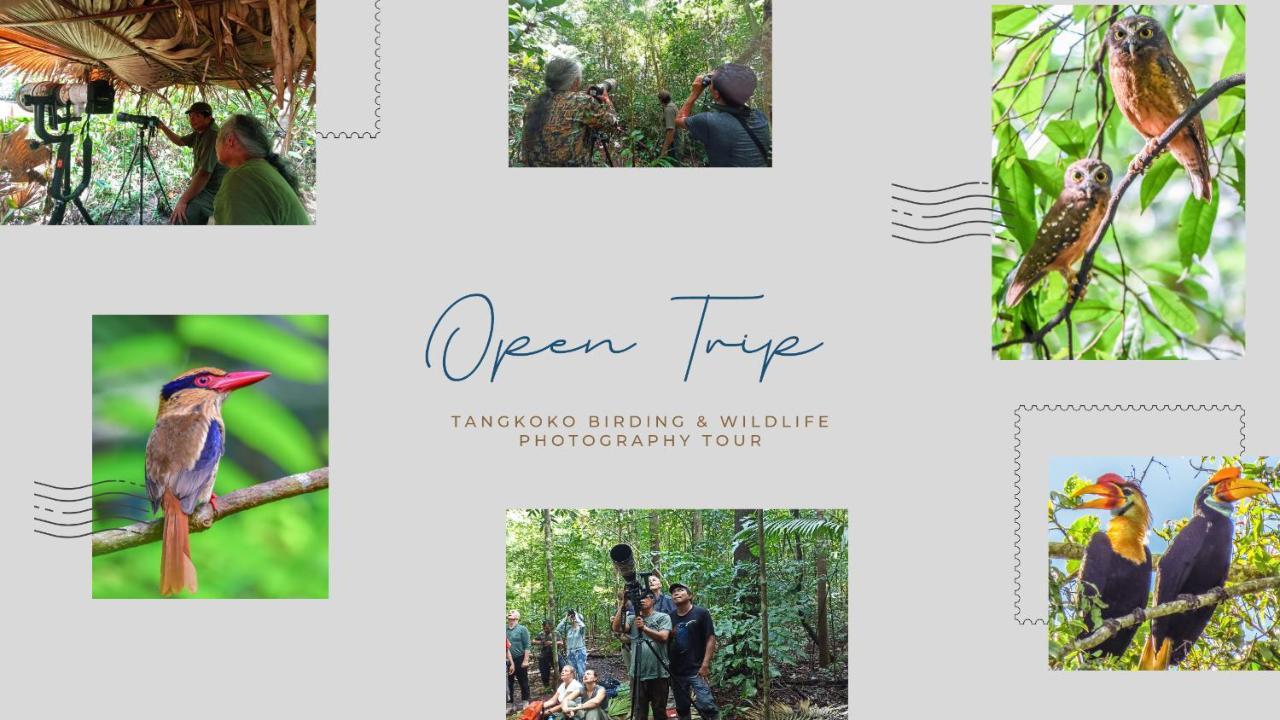 Tangkoko Ranger Homestay Bitung Kültér fotó